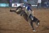 Champion Australian bronc rider Ben Rasmussen of Nevertire in NSW leads the Aussie charge at Warwick
