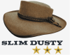 Slim Dusty 100