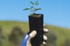One of Greater Western Water's (GWW) Thriving Communities grants program recipients, the Sanctuary of Sentient Beings, has planted hundreds of native trees and shrubs, helping improve local waterways and create habitat for native wildlife. 