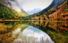 Autumn colours reflected in a mountain lake in the Catalan Pyrenees 
