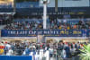 A sellout crowd and the second highest wagering turnover on a NSW greyhound meeting for the final race meeting at Wentworth Park last Friday night. Photo Paul McMillan.  