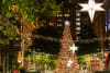 City of Sydney/Chris Southwood
