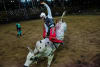 Victorian born, Mount Isa based Kelsey Pavlou rides ManGlitter to take the Tamworth buckle last night for PBR Australia and moves to 4th place in the national standings 