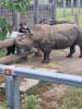 RFSA members enjoying the Family Day at Mogo Wildlife Park on Sunday, 25 October 2026.