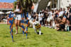 Bondi Dog Day 2026