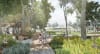 Artist impression of Gunyama Park stage 2