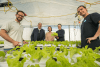 L to R: Mauricio Emerenciano - CSIRO Senior Research Scientist and Project Leader, Norm Boyle, Dr Ha Truong, Cathryn O'Sullivan - CSIRO Senior Research Scientist, and Jarvis Aland - CSIRO Aquaculture Research Technician.