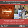 Bloodlines to Country details