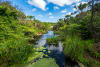 Sydney Park
Credit - Will Jones/City of Sydney