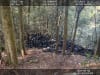 Illegally dumped waste tyres found at Macquarie Pass National Park