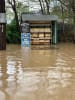 Repeat flooding damaged farms on the Goulburn River in 2022