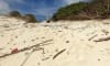 Plastics discovered on a remote beach during field trips for this research