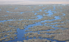 Lowbidgee wetlands. Photo: UNSW Sydney