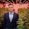 Little Green Pharma CEO, Paul Long 