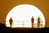 Brook Mitchell/Getty images