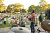 Sunset Series in St Leonards Park