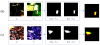 The custom AI model was fed a dataset of images from Google Earth and was able to detect forest cover changes with an accuracy of 94.37 per cent.