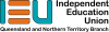 IEU-QNT logo