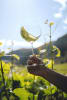 Pour Yourself A Glass Of New Zealand Wine