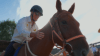 Tour d'Horse
