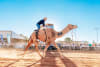 The Boulia Camel Races - July 18-20 - AKA The "Melbourne Cup of Camel Racing" is a highlight of The Desert Champions Way: Outback Camel Trail