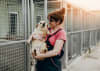Not all rescue journeys are the same -- finding the right fit matters for both dog and adopter.