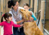 Not all rescue journeys are the same -- finding the right fit matters for both dog and adopter.