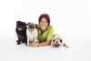 Sarah Rutten, The Canine Perspective