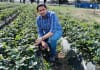 Dr Ali Bajwa, La Trobe University