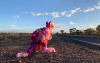 June Golland (participating OpenField Artist 2025), Your one wild and precious life, 2023 - installation view