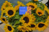 Attendees are invited to place a sunflower at the foot of the Memorial Wall
