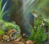 Artist's reconstruction of the new species Litoria tylerantiqua (right) and previously described species Platyplectrum casca (left) from Murgon, south-eastern Queensland. Image: Samantha Yabsley, https://www.instagram.com/s.h.y_art.