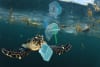 Swimming turtle caught in plastic waste in the ocean