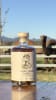 As Summer Land Camels celebrates 10 incredible years, they're raising the bar -- literally -- with a world-first spirit that's smooth, sustainable and seriously sensational.
Introducing Camel Milk Vodka - French Oak Matured.
