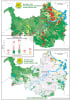 Brisbane Koala Habitat Atlas