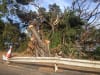 Disaster waste management is a prevalent issue in remote and very remote Northern Territory communities.