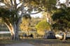 Reflections Ferry Reserve, in the Byron shire, where EV Chargers are now installed. 