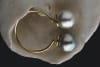 Liddon Pearls