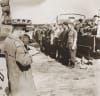 Australian war artist Alan Moore at the Belsen concentration camp.