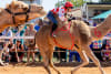 The Desert Champions Way: Outback Camel Trail is more than a race -- it's a road-tripping, town-hopping celebration of Outback spirit - The trail of FIVE EPIC EVENTS is set to become a cornerstone of sustainable tourism in Outback Queensland.
