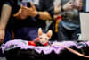 Cat Image: The beloved Cat Lovers Festival and Dog Lovers Festival return to the Melbourne Showgrounds on Saturday the 25th  and Sunday 26th October 2025. 