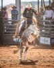 Eli Donovan Memorial Local Station Buck Jump and the Open Steer Ride - will spotlight local riders and honour the spirit and skill of the bush.