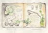 Higher Ground combines elements of a graphic novel with illustrated picture book
and diary. 