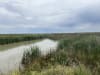 Wetlands in the Toogimbie Indigenous Protected Area, jointly managed by Hay LALC and the Nari Nari Tribal Council. Photo: UNSW Sydney