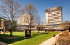UNSW is launching the Green Fellowship to attract the world's best to Sydney.