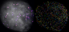 Tracks of individual TEAD1 molecules as they move through a cancer cell's nucleus and bind to DNA. Photo credit: Benjamin Kroeger