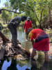 Remote school students use baited underwater cameras to explore croc-filled billabongs - Ramingining, NT