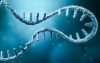 Messenger RNA, sourced from Getty images
