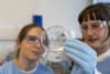 Study co-author Frankie Lyons and second author Jill Chmielewski assessing mosquitoes prepared for dissection. 