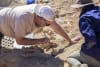 Museum and Art Gallery of the Northern Territory' Dr Kirsti Abbott (Head of Science) and Dr Adam Yates (Senior Curator, Earth Sciences) on a fossil site. They will be speaking in Alice Springs during National Science Week.